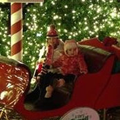 Lisa Hoopes Gibson's photo