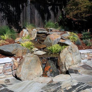 Backyard Transformation