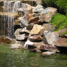 Pond inspiration