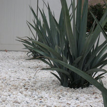 Front Yard Landscapes