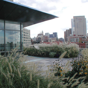 Downtown Penthouse