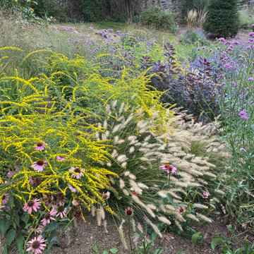 Wild Pollinator Garden