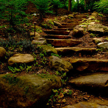 Pathways