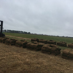 Tall Fescue Harvest - Products
