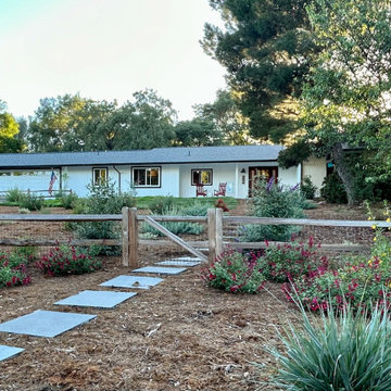 Encinitas Pollinator Garden