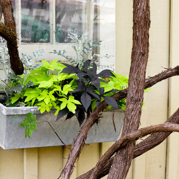 My Houzz: DIY Love and Nature-Inspired Colors Update a Couple’s Garden