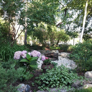 Scotia Street low-maintenance shaded yard