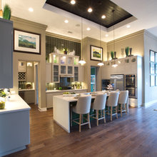 Crystal Falls Model