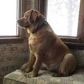 Photo de Barbara Suminski