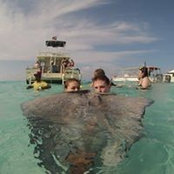 Ryan Hewitt's photo