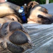 Holly Williams's photo