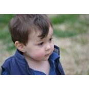Kevin McCarthy's photo