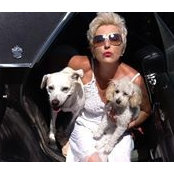 Christine Ryans foto