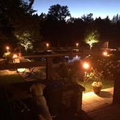 Joe Cleary's photo