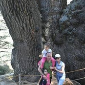 Charbel Saghbini's photo