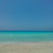 Heba Wassef's photo