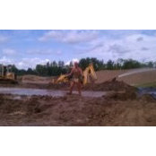 Celeste Fix- Cumo's photo