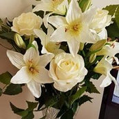 Amanda Mandy Allman's photo