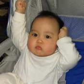 Khỉ Đỏs foto