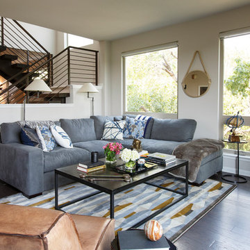 Transitional Living Room