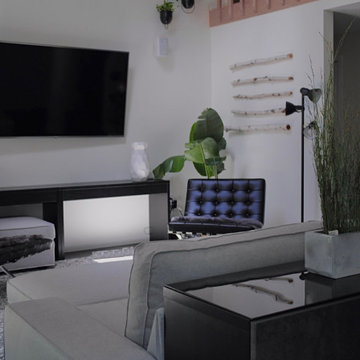 Modern Living Room