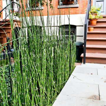 Brooklyn Front 1