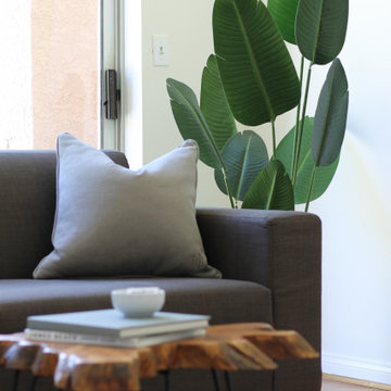 Tropical Plant in Los Angeles Home Office Staging