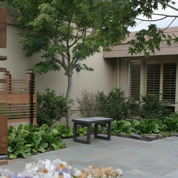 Bruce and Valerie's front and side yard renovation