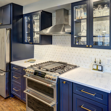 Silver Spring | Crafty Pet Friendly Kitchen and Living Room Remodel
