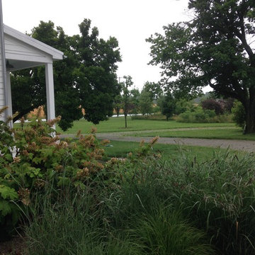 Baltimore Farm