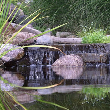 Water Features and Ponds