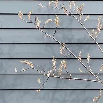 New house, new garden