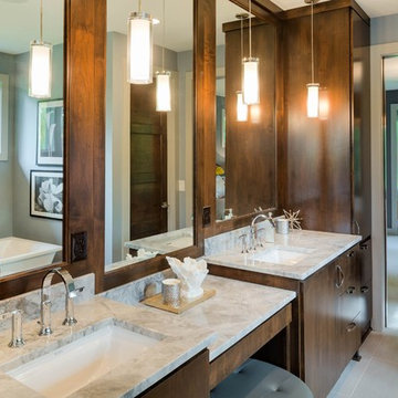 Edina Contemporary Remodel