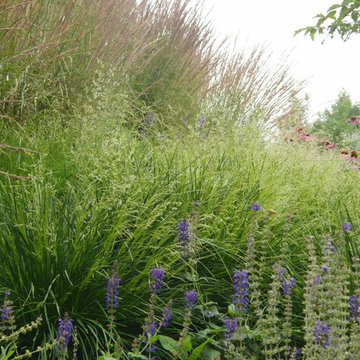 Tudor Residence Landscape
