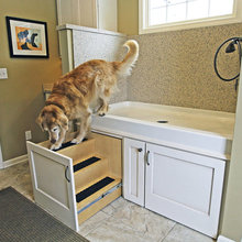 Dog Wash Station