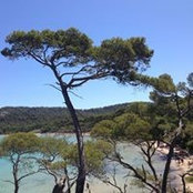 Emmanuel Bouin's photo