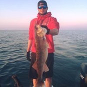 Logan Hibbard's photo