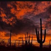 Sheila Reidhead's photo