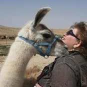 Irina Kap's photo
