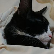 Melanie Medina's photo