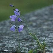 Nan Eschenberg's photo