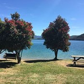Suzanne O'Leary's photo