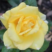 Joan Milligan's photo