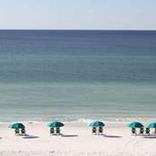 Sandra Rutherford's photo