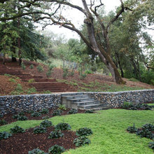 Back Yard Ideas