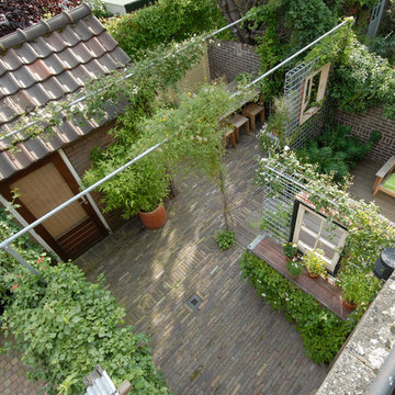 A garden as a room