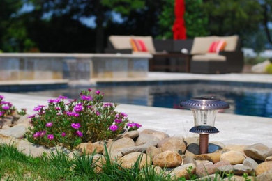 Inspiration for a modern pool remodel in DC Metro