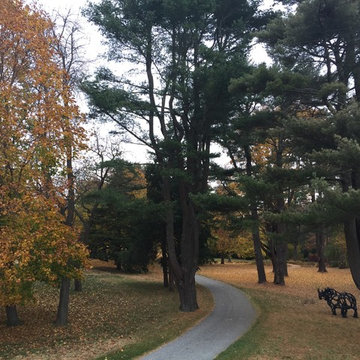 Landscape Maintenance