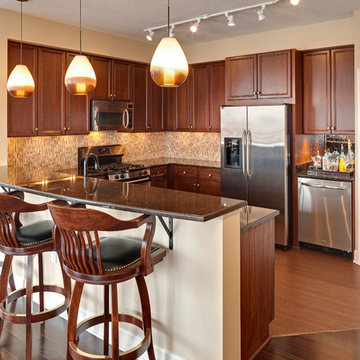Grant Park Condo Renovation - Minneapolis