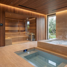 Hot Tub, Cold Plunge, Sauna